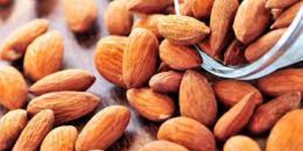تصویر 4 از خرید و قیمت بادام درختی خام + فروش صادراتی